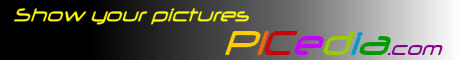 www.picedia.com