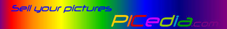 www.picedia.com