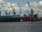 Cranes & Docks; Profile: Rowald; 