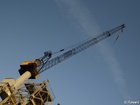 crane - 7304007_G;  Another habor trip;  Hamburg Germany; Profile: Rowald; 