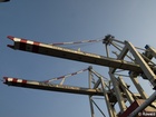 cranes - 7303976_G;  Another habor trip;  Hamburg Germany; Profile: Rowald; 