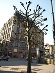 <br>P4101963; Hamburg, Germany; Profil: Rowald;