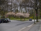 4114828_G;  Stadtpark, Hamburg, Germany; Profil: Rowald; 