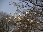 4024780_G; Stadtpark, Hamburg, Germany; Profile: Rowald;