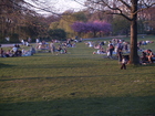 4165062_G; Alster, Hamburg, Germany; Profile: Rowald;