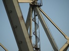 Cranes; Profile: Rowald; 