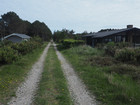 P5280634; Læsø, Danmark; Profil: Rowald;