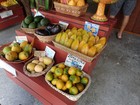 PB190951; Hawaii, Big Island, Kona, V...; Profil: Rowald;