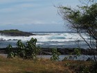 PB201899; Hawaii, Big Island, Kona, V...; Profile: Rowald;