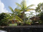 PB190950; Hawaii, Big Island, Kona Jack; Profile: Rowald;