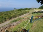 PB190935; Hawaii, Big Island, Kona Jack; Profile: Rowald;