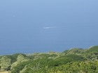 PB190938; Hawaii, Big Island, Kona Jack; Profile: Rowald;
