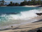 PB181864; Hawaii, Big Island, Kona, M...; Profile: Rowald;