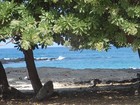 PB180901; Hawaii, Big Island, Kona, M...; Profile: Rowald;