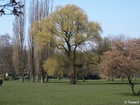 7_G; © Rowald; Hamburg, Germany; Profil: Rowald;