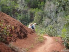 Profil: Rowald; 