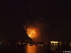MV175799;  Rowald;  Cherry Blossom Fireworks;  Alster, Hamburg, Germany; Profil: Rowald; 