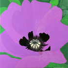 Mohnli; 50 x 50 cm; EUR 90,-; Profile: Gitta; 