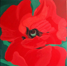 Mohn; 50 x 50 cm; EUR 90,-; Profil: Gitta; 