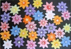 Leuchtsterne; 70 x 100 cm mit Lichterkette; EUR 180,-; Profile: Gitta;
