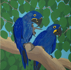 Hyazinthenaras; 50 x 50 cm; Profile: Gitta;