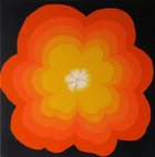 orange-de-Caen; 50 x 50 cm; EUR 90,-; Profile: Gitta;