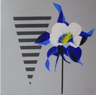 Aqui; 50 x 50 cm; EUR 90,-; Profile: Gitta;