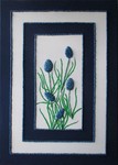 Perle; 50 x 70 cm; EUR 125,-; Profile: Gitta;
