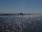 Wattenmeer