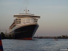 Queen Mary II - 7304101_G; Profil: Rowald; 