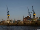 cranes - 7304004_G