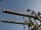 cranes - 7303976_G