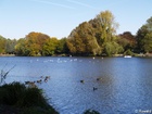 A140833; Hamburg, Germany; Profil: Rowald;