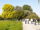 9230475_G; Hamburg, Germany; Profile: Rowald;