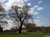 Random Picture