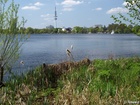 <br>P5052661; Hamburg, Germany; Profil: Rowald;