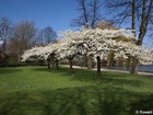 <br>one more post card; Hamburg, Germany; Profil: Rowald;