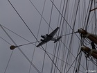5125639_G; 818th Habor Birthday; Hamburg, Germany; Profil: Rowald;