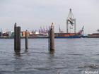 P5132552;  Habor, Hamburg, Germany; Profile: Rowald; 