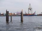 P5132552; Habor, Hamburg, Germany; Profil: Rowald;