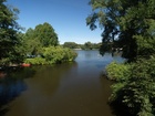 Stadtpark in Summer