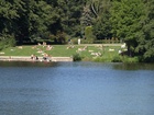 Stadtpark in Summer