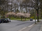 4114828_G; Stadtpark, Hamburg, Germany; Profil: Rowald;