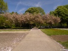 4255108_G;  Stadtpark, Hamburg, Germany; Profil: Rowald; 