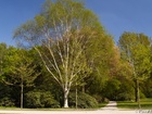 4255152_G; Stadtpark, Hamburg, Germany; Profile: Rowald;