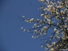 Random Picture