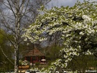 4114824_G;  Stadtpark, Hamburg, Germany; Profil: Rowald; 