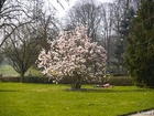 4024787_G;  Stadtpark, Hamburg, Germany; Profil: Rowald; 