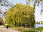 P5122511; Alster, Hamburg, Germany; Profil: Rowald;