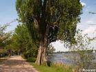 P5122503; Alster, Hamburg, Germany; Profil: Rowald;